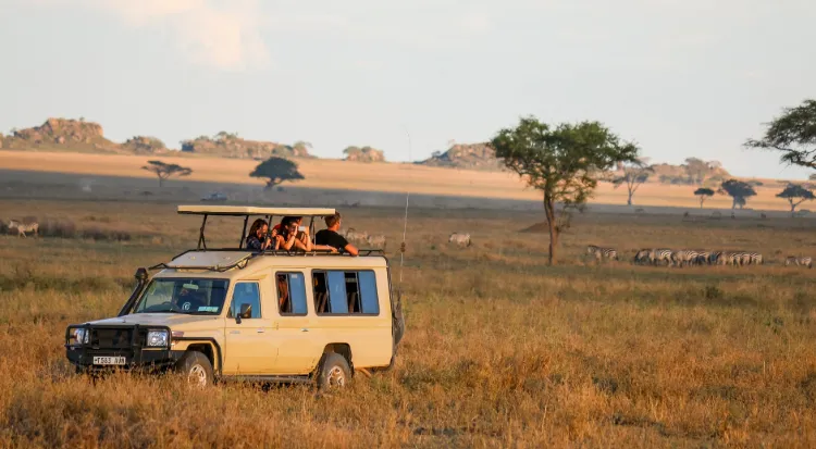 Tanzania Safari Experience