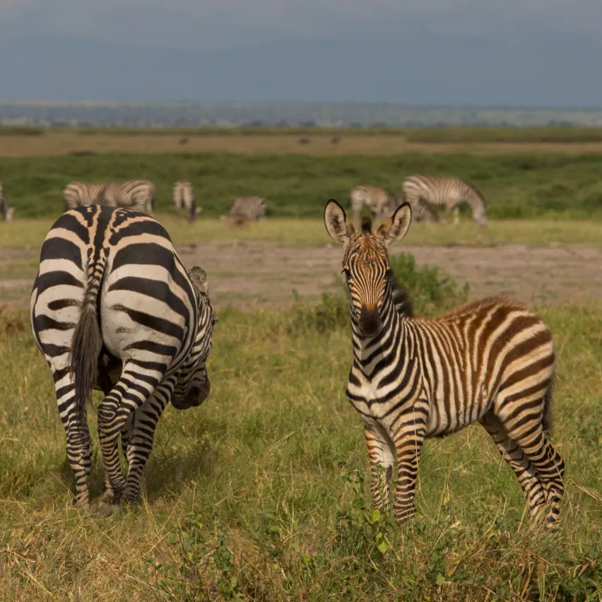 Lake Manyara