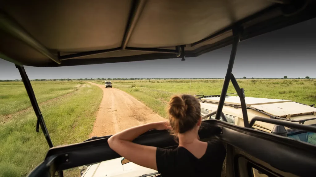 What Travelers Wish They Knew Before Their First Tanzania Safari