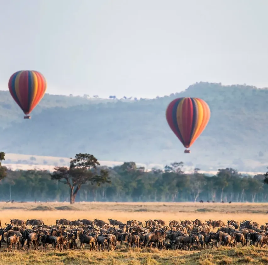 Tanzania Safari Activities