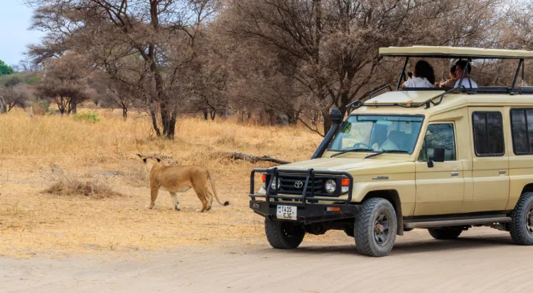 Tanzania Safari Experiene