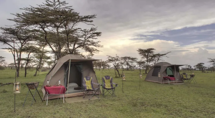 Family Safari Experiences Tanzania