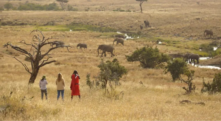 Walking Safaris in Tanzania