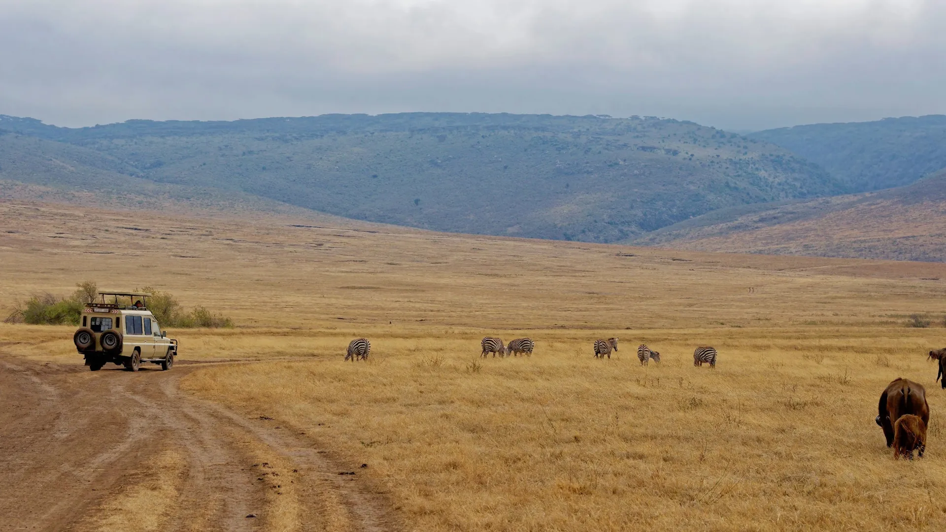 What Defines a Tanzania Safari Experience Other than Game Drives?