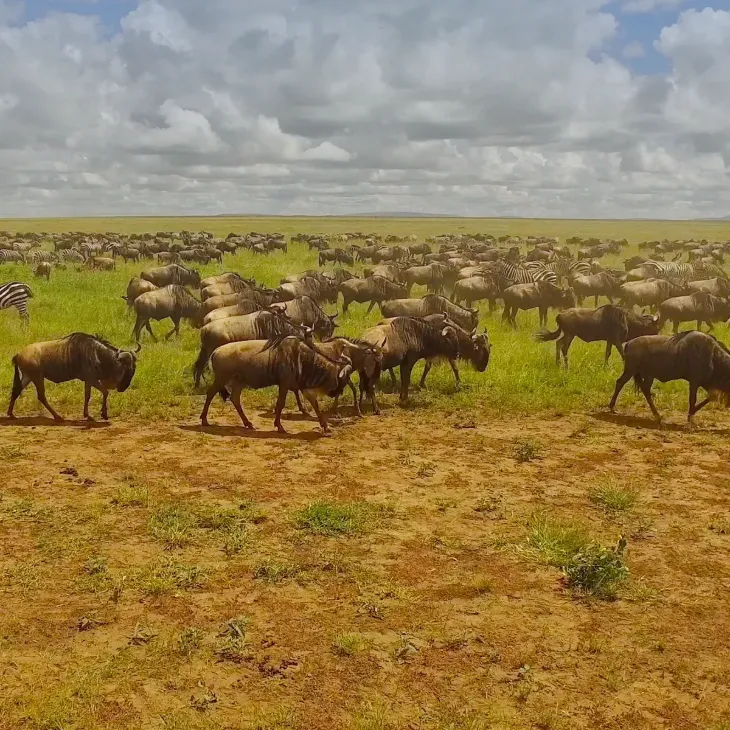 5 Days &ndash; Migration Package