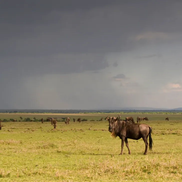 6 Days &ndash; Migration Package