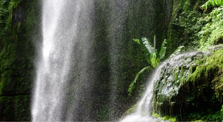Arusha Waterfall Tour