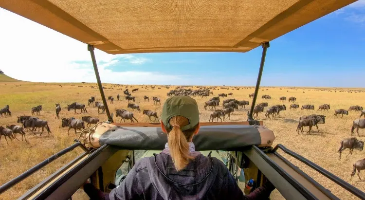 Serengeti Migration Safari 