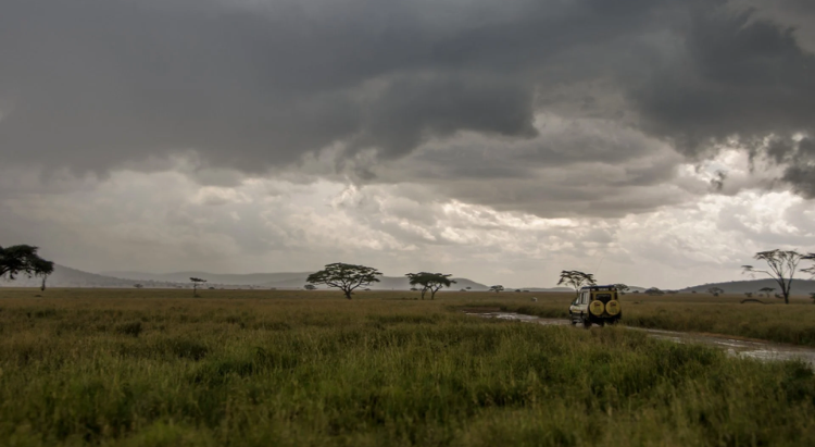 Traveling in Tanzania