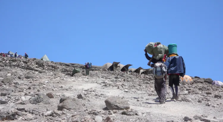 Kilimanjaro Tour Operator 