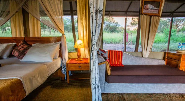 Tanzania Safari Cost