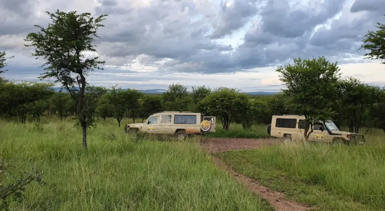 Tanzania Safari Tour