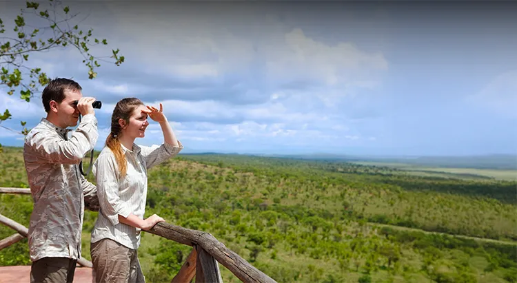 Tanzania Honeymoon Safari Experience