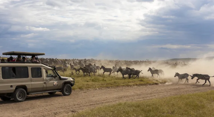 Serengeti Migration Safari 