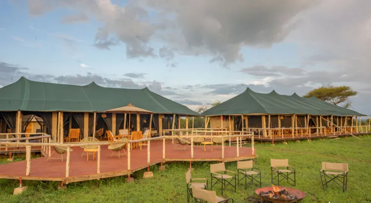 Luxury Safari Experience in Tanzania