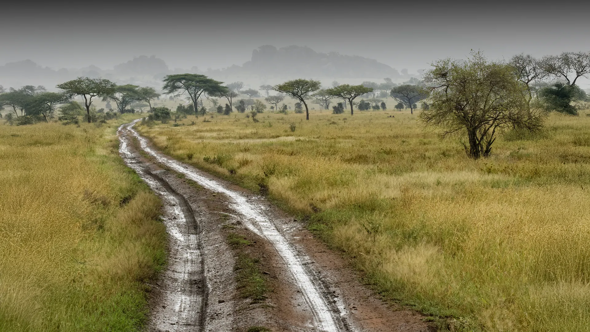 Traveling in Tanzania’s Rainy Season: Pros, Cons, and Real Expectations