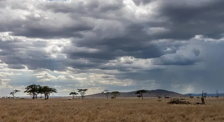 Tanzania Rainy Season