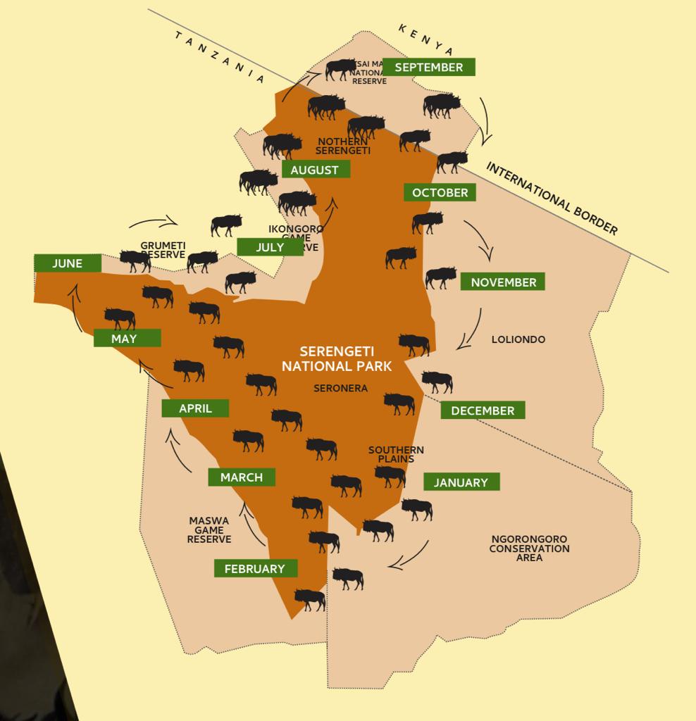 Best Time for the Serengeti Migration