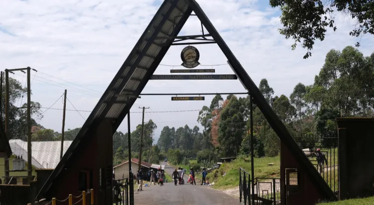 Kilimanjaro National Park   Fees