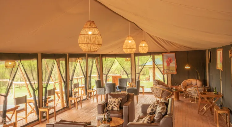 Tanzania Safari Experience