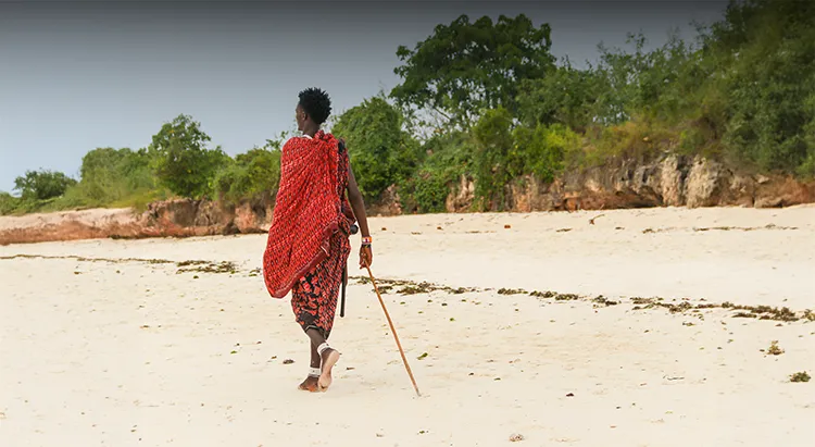 What To Do In Tanzania