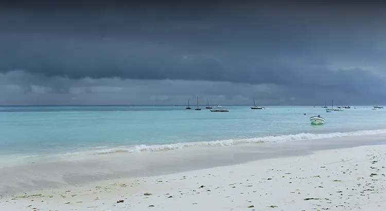 Zanzibar Coast