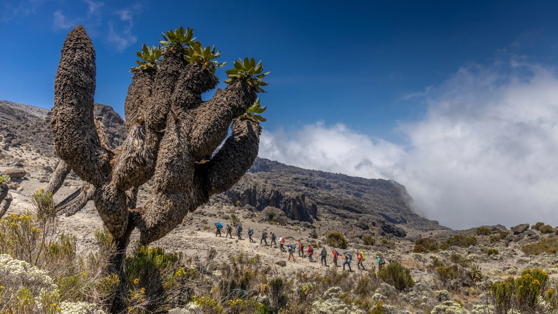 Kilimanjaro Route Comparison 2026 – Choose the Right Route for Your Travel Style