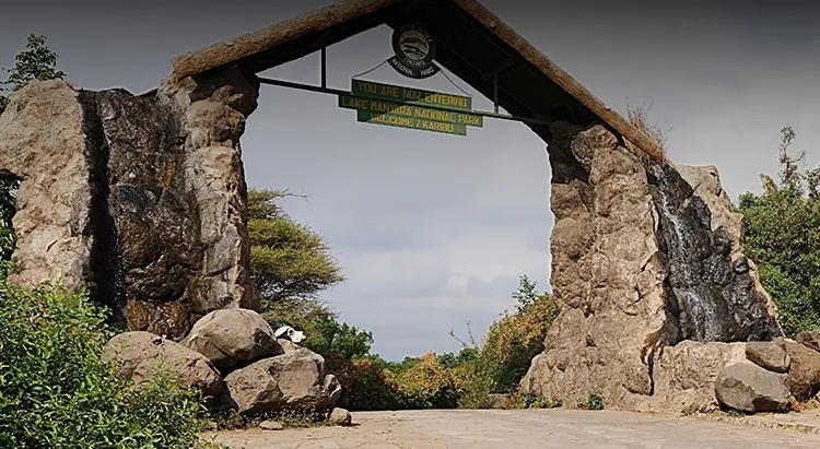 Day Trip Safari In Arusha