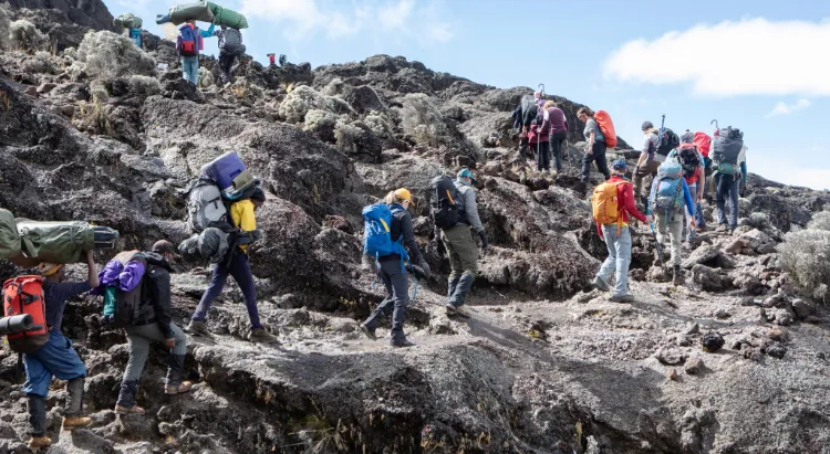 Kilimanjaro Route