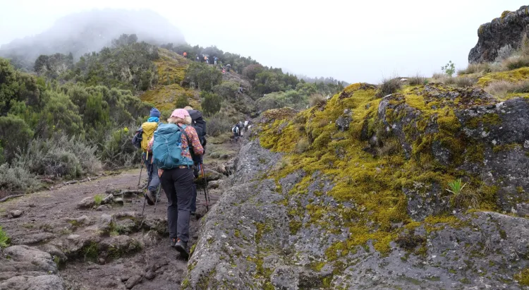 Kilimanjaro Climbing Route 