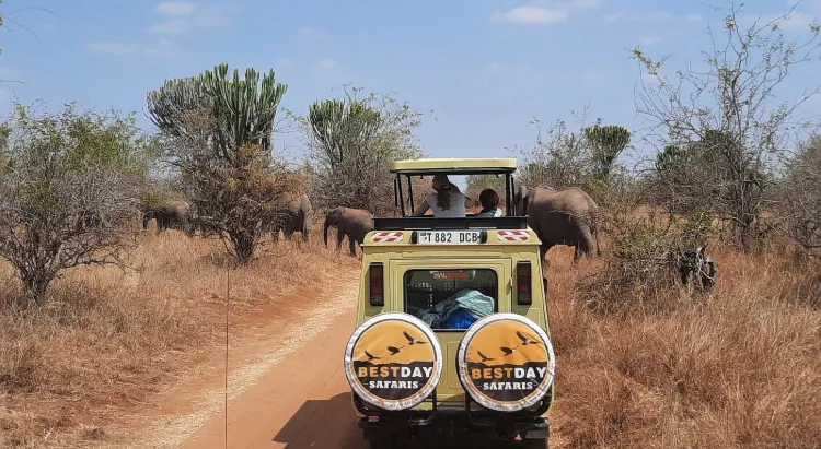 Tanzania Safari Itinerary