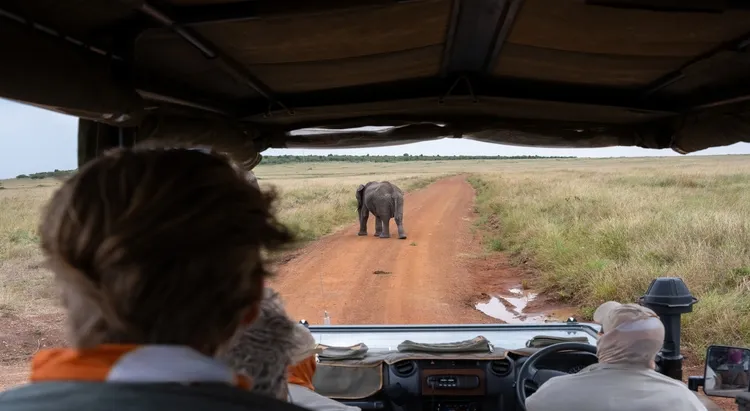 Tanzania safari packages