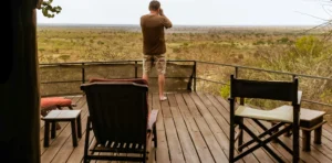 Tanzania Budget vs Luxury Safari