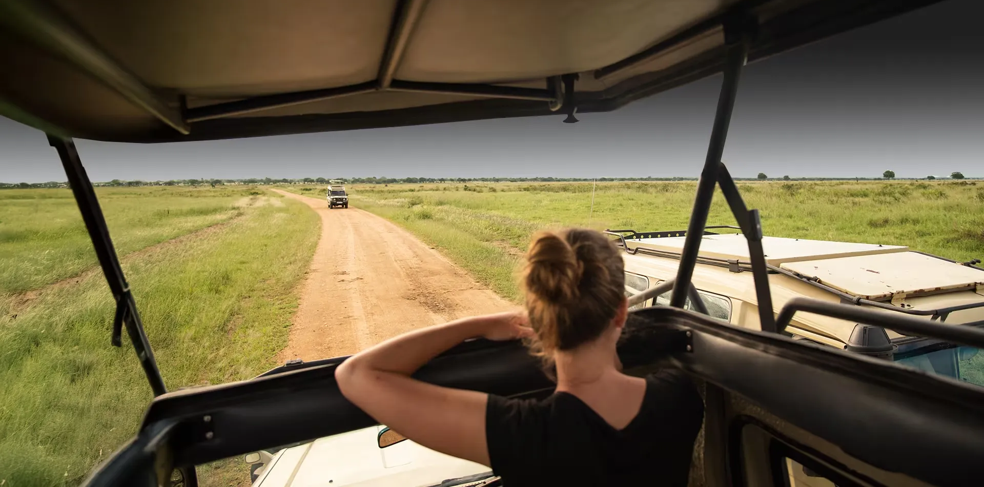 Tanzania Safari Tours
