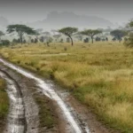 Traveling in Tanzania’s Rainy Season: Pros, Cons, and Real Expectations