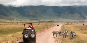 Tanzania Safari Cost