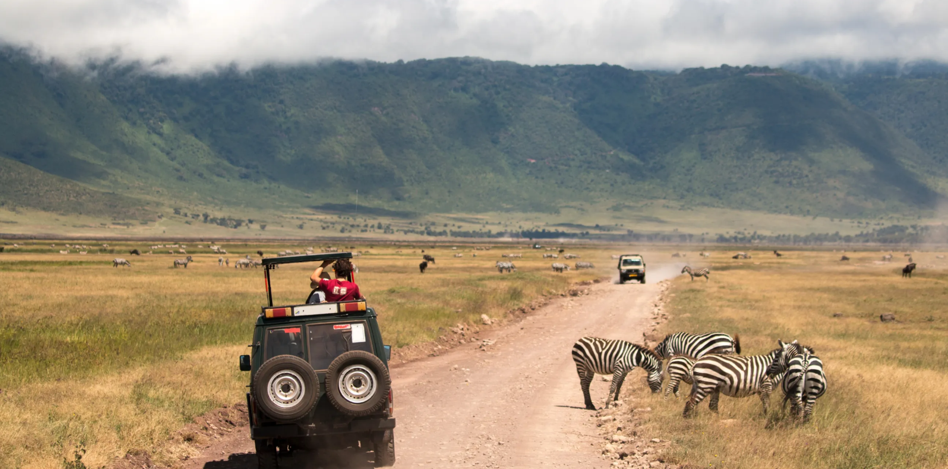 Tanzania Safari Cost