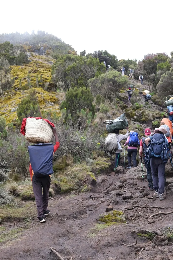Lemosho Vs Machame