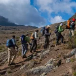 Lemosho vs Machame - Which Trek Is Better?