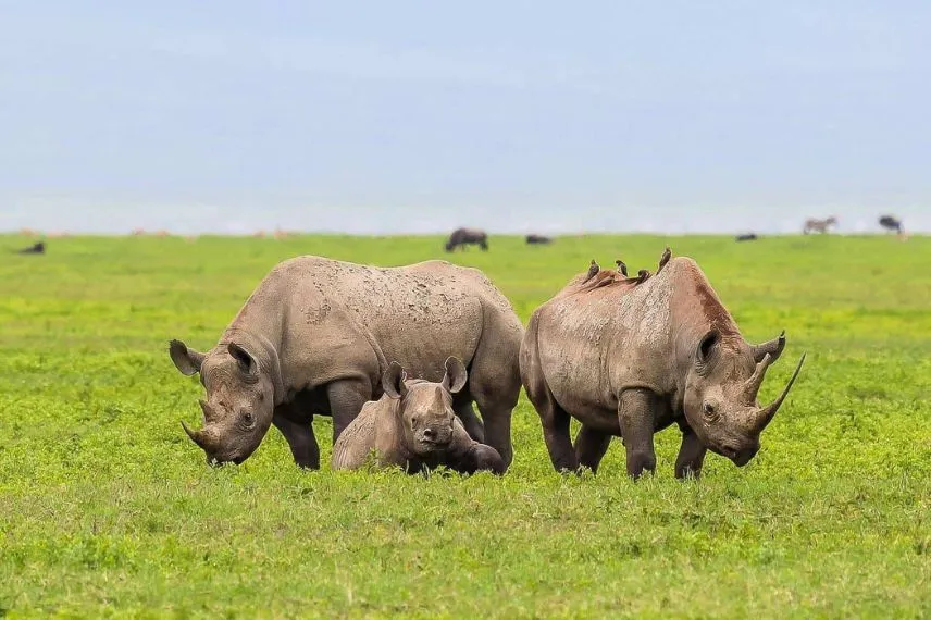 Best Time To Visit Tanzania