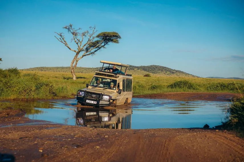 Game Drive Safari