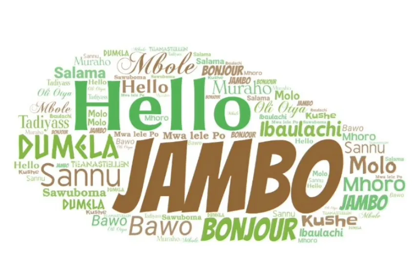Tanzania Language