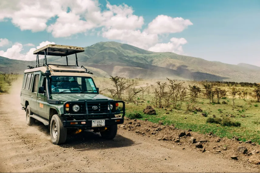 Tanzania Safari Tours