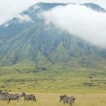 Tanzania Temperature in August: Weather & Safari Guide