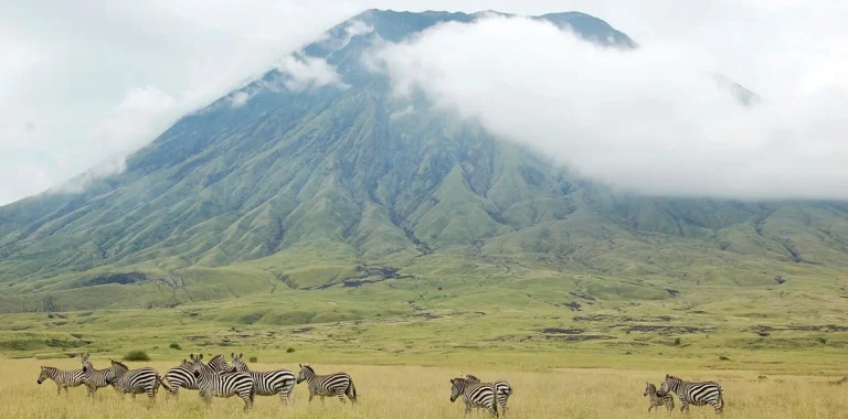Tanzania Temperature in August: Weather & Safari Guide