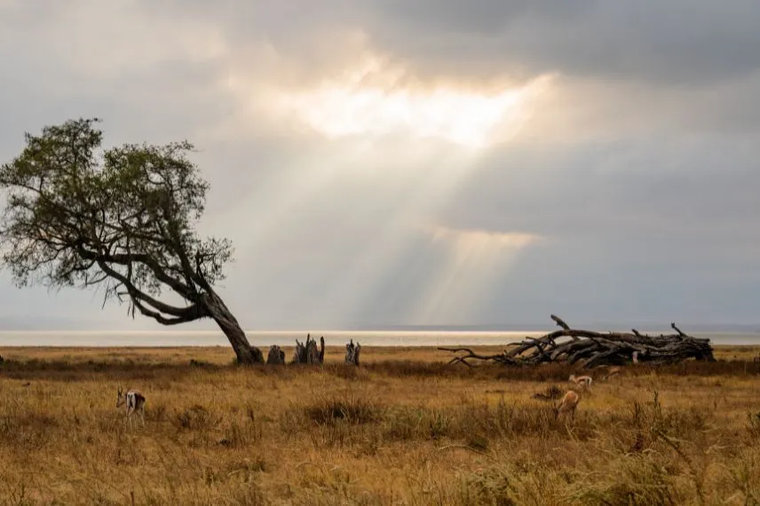 Tanzania's August weather
