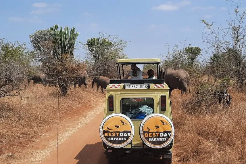 Best Tanzania Safaris