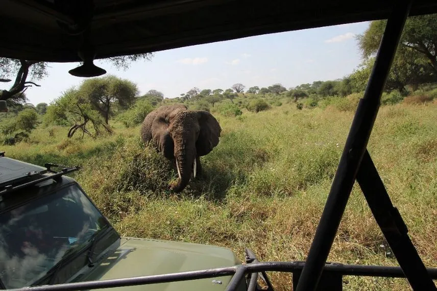 Big Five Safaris