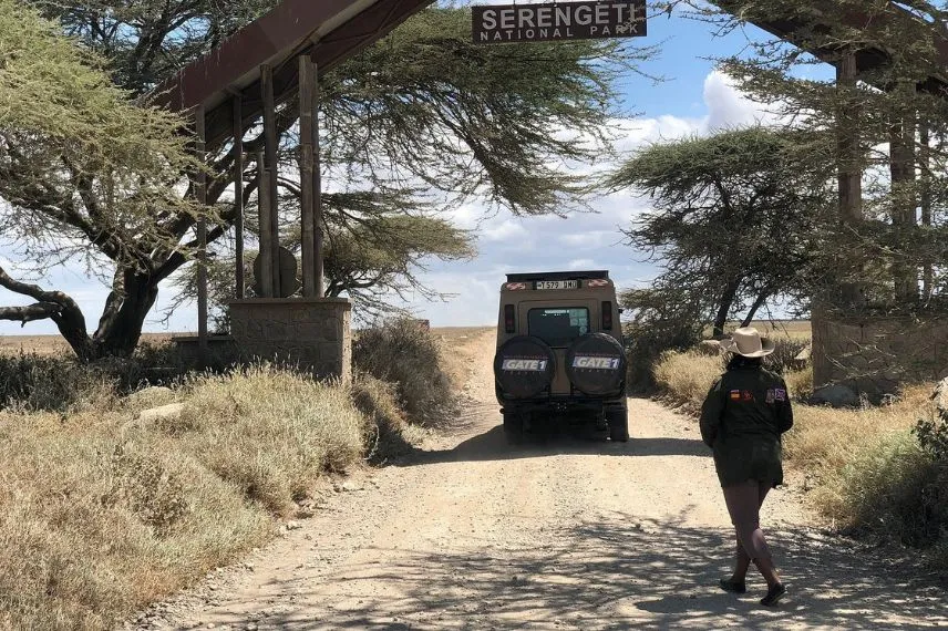 Serengeti Game Drives