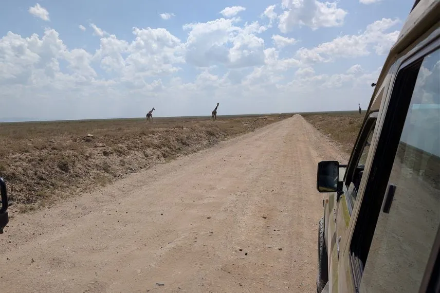 Serengeti Safari